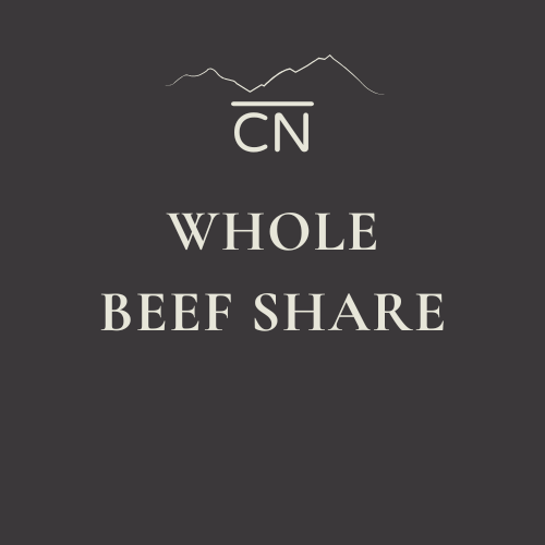 Whole Beef Share